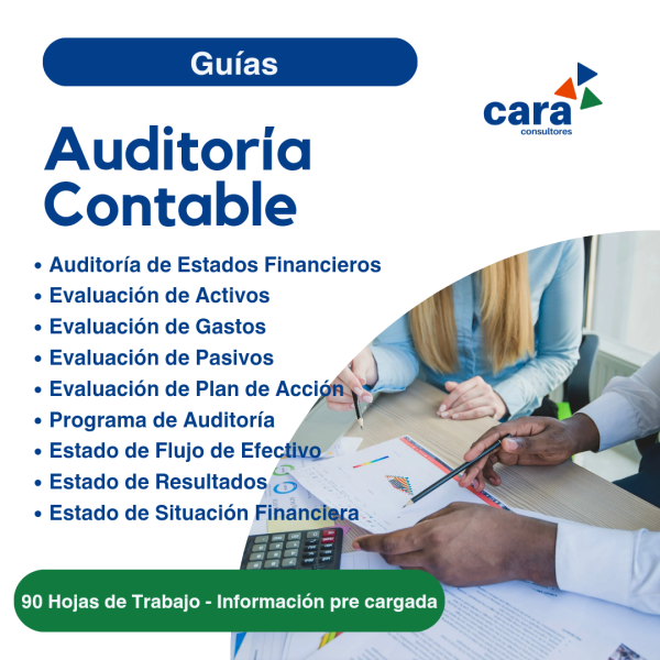 Guías - Auditoría Contable 2024